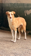 NATY Image 4